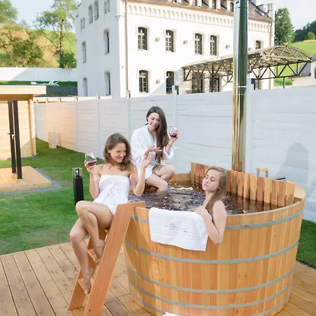 Lägenhetshotell Palac Jugowice 4*